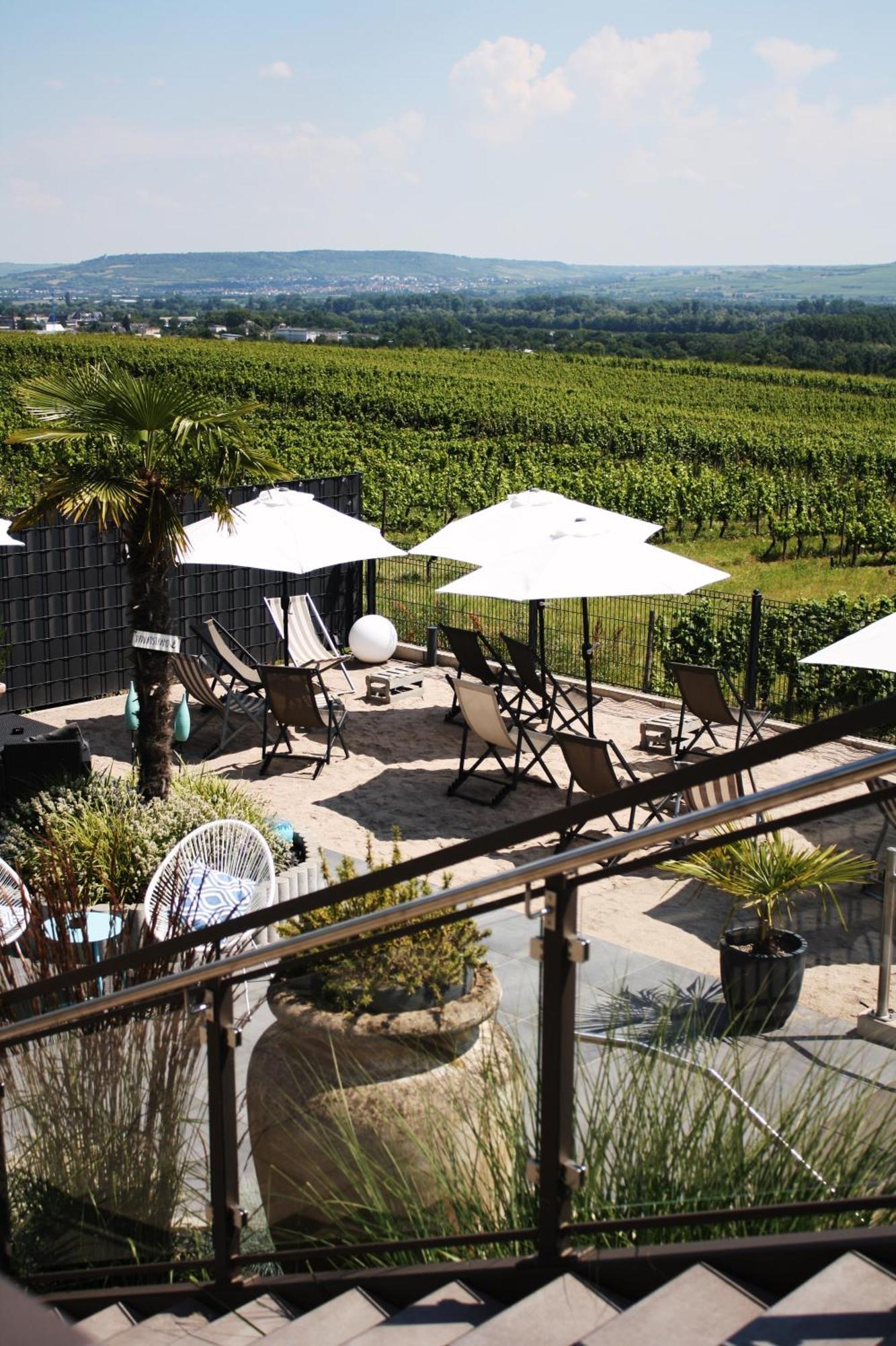 Weingut Magdalenenhof Hotel Ruedesheim am Rhein Exterior photo